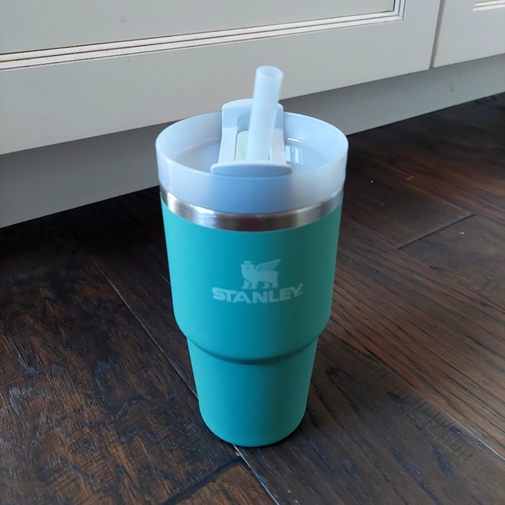 Brand New Stanley 20 oz Tumbler Sage green
